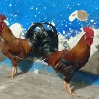 شادگان دارخوین|حیوانات مزرعه|شادگان, |دیوار