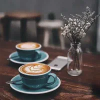 استخدام سالندار و ویتر