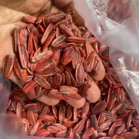 گندم دیم درجه یک تمیز