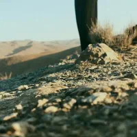 اجاره سوله به متراژ 220متر مربع