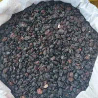 کشمشسبزکاشمر|خوردنی و آشامیدنی|سبزوار, توحیدشهر|دیوار