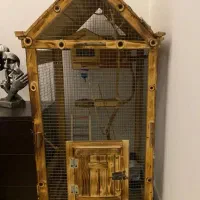 قفس عروس هلندی