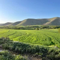 باغ-کمالوند-شهرک-صنوف-قاضی-هزار-متر