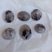 نقیم شجر|جواهرات|جوانرود, |دیوار