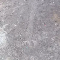 کشاورزی