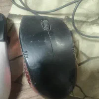 موس|قطعات و لوازم جانبی رایانه|الوند, |دیوار