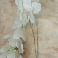 اکسسوری