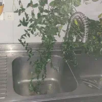 سینک صنعتی سینگ