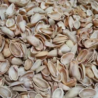 پوست پسته مخصوص تولید ذغال