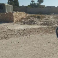 زمین قیمت خرید|فروش زمین و ملک کلنگی|جهرم, |دیوار