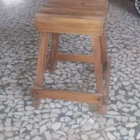 چهار پایه گلدان|گل و گیاه طبیعی|مینودشت, |دیوار