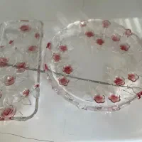 ظروف پذیرایی