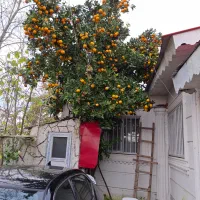 فروش ویلا ۱۰۰ متری دوخوابه، حومه ی رشت،(خشکبیجار)|فروش خانه و ویلا|رشت, اسماعیل آباد|دیوار