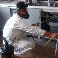 سمپاشی ساس سوسک موریانه موش کک کنه باضمانت 100&