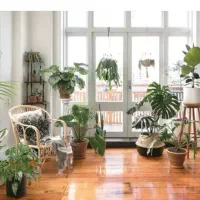 ۹۵متر شمالی رو به آفتاب در شبنمها