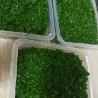 سبزی خورشتی کرفس|خوردنی و آشامیدنی|کرمانشاه, |دیوار