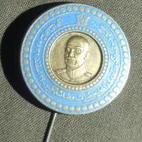 بروش سنجاق سینه سکه های خاص کلکسیونی