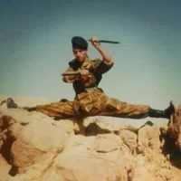 آموزش ویژه فایت ودفاع شخصی  سبک‌های ازاد