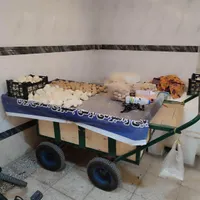 گاری چهار چرخ|ابزارآلات|نسیم‌شهر, |دیوار