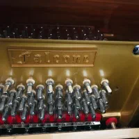 پیانو آکوستیک|پیانو، کیبورد، آکاردئون|شیراز, شاه قلی بیگی|دیوار