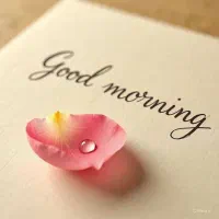 مشاور حقوقی و حقیقی رفع هر گونه اختلاف و چالش