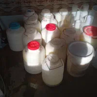 دوغ غلیز وتازه