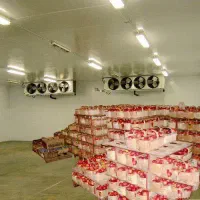 سردخانه صنعتی