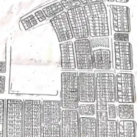 یه سگ شیتزو پیدا شده