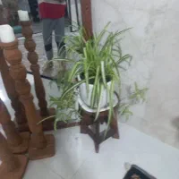 گل وگلدون سرامیکی