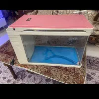دیسکس 4اینچ دوعدد3500تومن،با اکواریوم تخفیف|ماهی|تهران, شهرک استقلال|دیوار