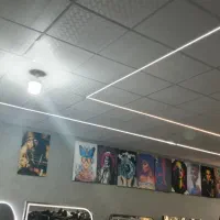 صندلی 027چرم سفید|آرایشگاه و سالن‌های زیبایی|یزد, |دیوار