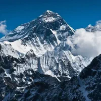 استخدام فروشنده