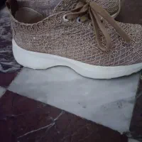 کتونی نو|کیف، کفش، کمربند|رشت, منظریه|دیوار