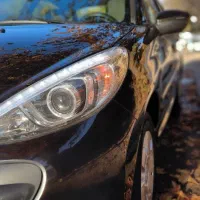 207itu5سقف فلز،کارمندی،ارتقا یافته|خودرو سواری و وانت|باخزر, |دیوار