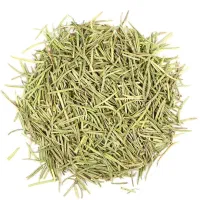 گیاه رزماری|خوردنی و آشامیدنی|اصفهان, خواجو|دیوار