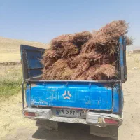 جارو|لوازم نظافت|کنگاور, |دیوار