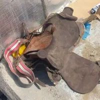 زین و دهنه