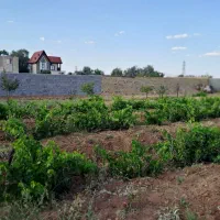 زمین باغی و کشاورزی چک و نقد و معاوضه با خودرو