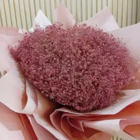 گل خشک ژیپوسفیلا صورتی|گل و گیاه طبیعی|کرج, گلشهر|دیوار