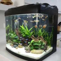 آکواریوم بک سامب دار