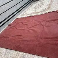 موکت کالباسی
