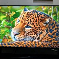 تلوزیون سام ۵۰ اینچ