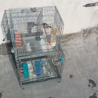 فروش فوری دوعدد سهره قرص خوان