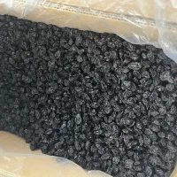 مویز گوشتی انگور شانی