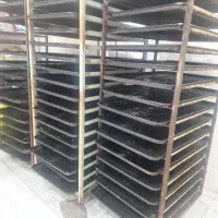 نظافت کار خانم
