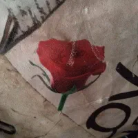 جویای کار هستم