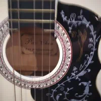 گیتار پائو چیا pao chia|گیتار، بیس، امپلیفایر|تهران, هوانیروز|دیوار