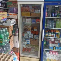 یخچال مشهد سرما تک‌در