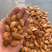 بادام شیرین|خوردنی و آشامیدنی|شیراز, گویم|دیوار