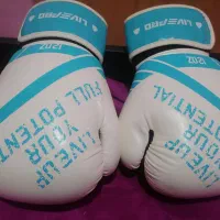 دستکش بوکس livepro نو